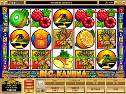 Big Kahuna slots